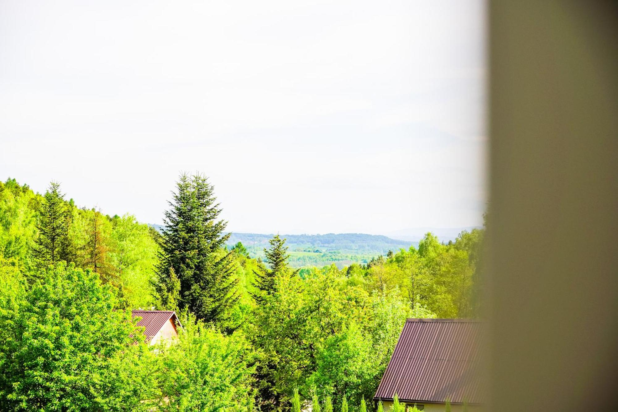 Holiday home Dom Na Bialych Brzoz Pod Krakowem