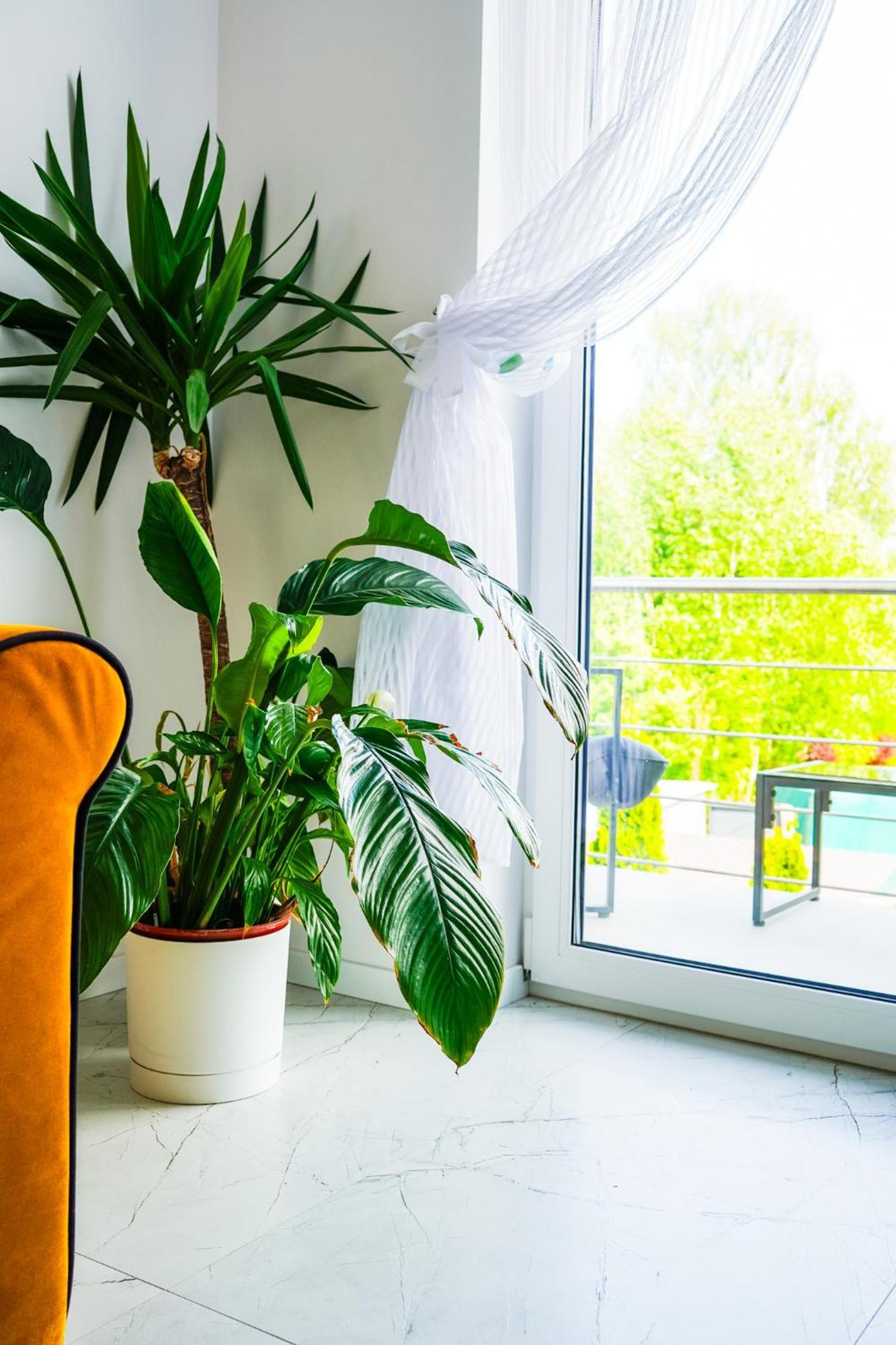 Holiday home Dom Na Bialych Brzoz Pod Krakowem Zabierzow